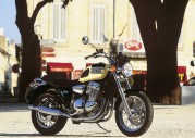 Triumph Thunderbird